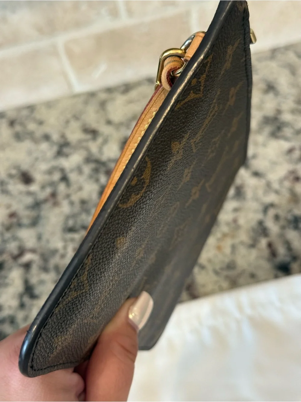 Louis Vuitton Monogram Neverfull Pouch